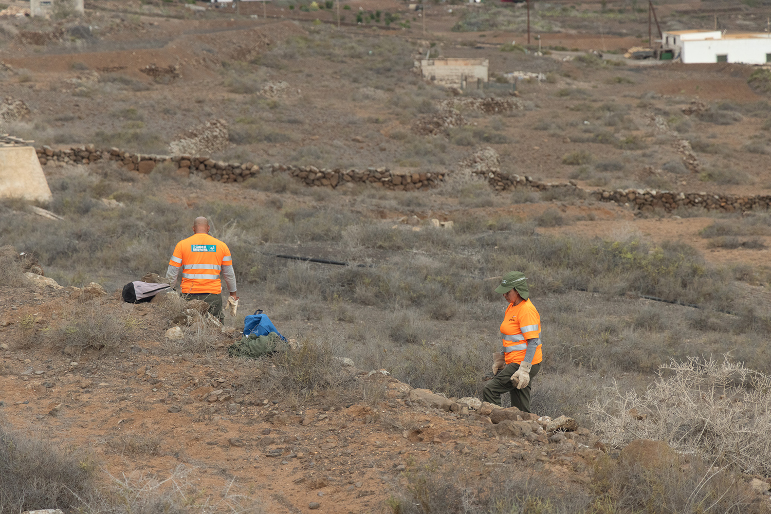 Vallebrón Fuerteventura. Foto trabajos rehabilitación del paisaje