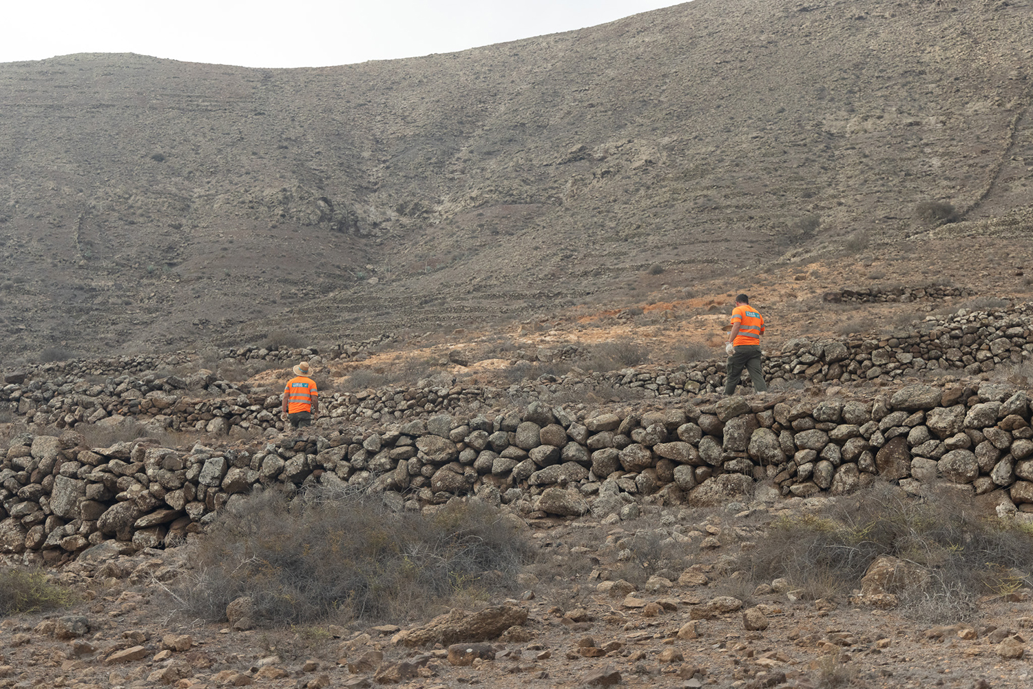 Vallebrón Fuerteventura. Foto trabajos rehabilitación del paisaje